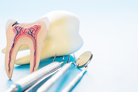 Appleseed Dental
